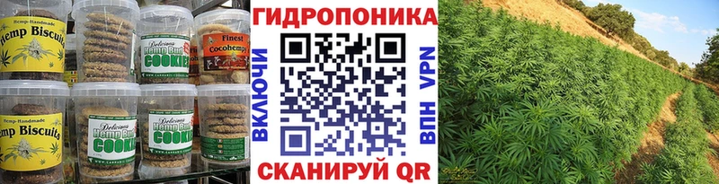 Cannafood конопля  Великий Новгород 