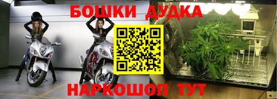хмурый Аша