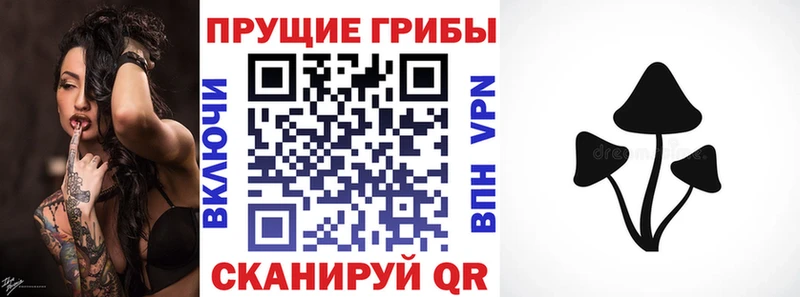 Псилоцибиновые грибы GOLDEN TEACHER Великий Новгород