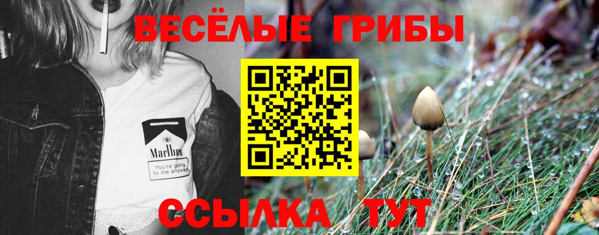 Галлюциногенные грибы мицелий Великий Новгород