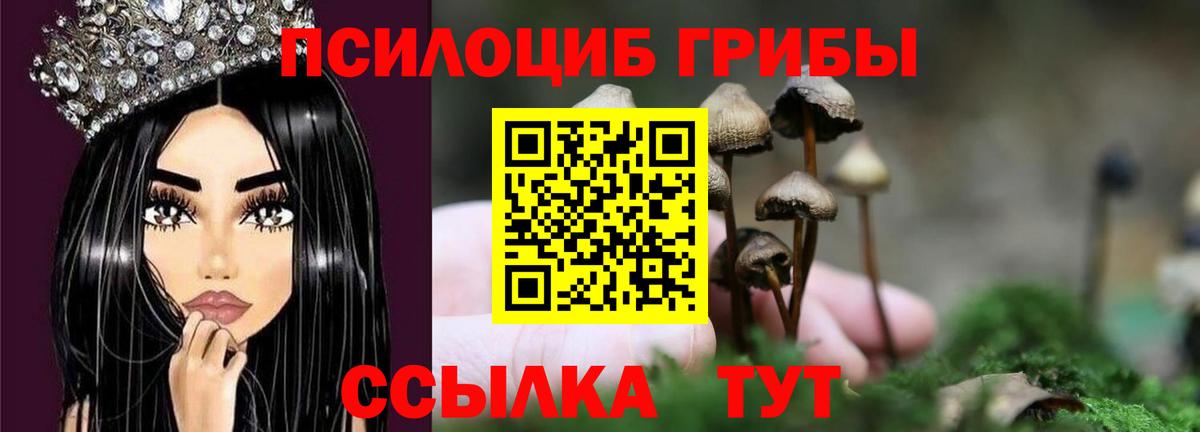 Великий Новгород  Галлюциногенные грибы Magic Shrooms  Вход с VPN 
